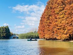 -上海海湾国家森林公园