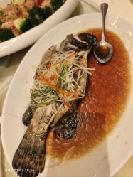-上海金桥红枫万豪酒店·宴会厅