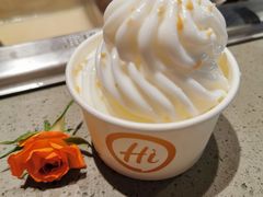 甄稀冰淇淋-海底捞火锅(新华联梦想城店)