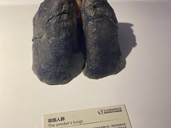 -生命奥秘博物馆