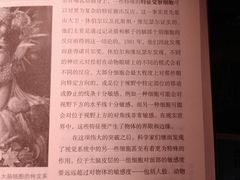 -西西弗书店&矢量咖啡(凯德晶萃广场店)