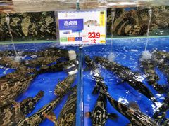 -东江海鲜酒家(艺都分店)