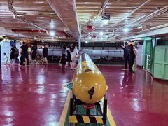 -泰达航母主题公园