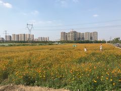 -皇粮浜公园