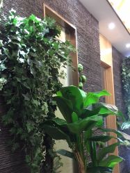 -芳朵美容养生SPA