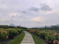 -深圳湾公园(南山区)