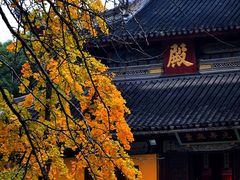 -西园戒幢律寺