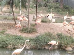 -无锡动物园·太湖欢乐园