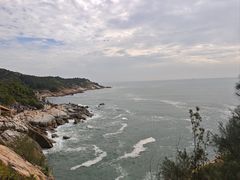-广东惠东海龟国家级自然保护区