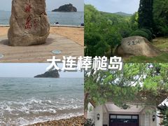 -棒棰岛宾馆景区