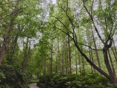 -云龙湖旅游景区