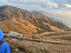 -韵味湘肴·小炒黄牛肉(五一广场美食地标店)