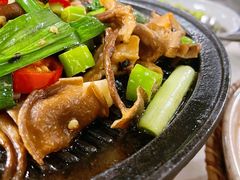炙子干锅鹿茸菇-泓0871臻选云南菜·味庄