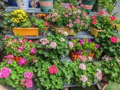 -山水茶艺馆·点心粤菜·30年老字号