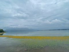 -西昌邛海湿地
