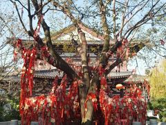 -华清宫景区