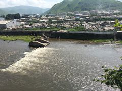 -望天鹅景区