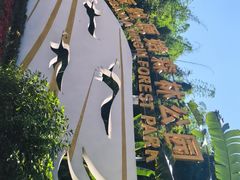 -西双版纳原始森林公园