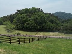 -神户市立六甲山牧场