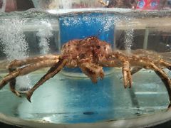 -盒马鲜生(悠方店)