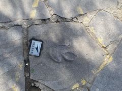 -普陀宗乘之庙(小布达拉宫)
