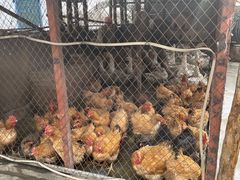 -鱼窝棚柴火铁锅炖(富山屯店)