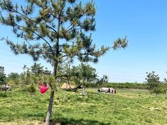 -西安汉城湖景区