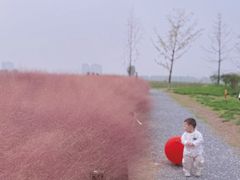 -汉长安城未央宫国家考古遗址公园