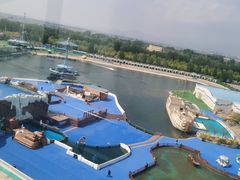 -秦皇岛乐岛海洋王国