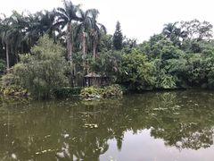 -滴水岩森林公园
