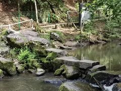 -茅兰沟国家森林公园