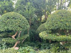 -上海方塔园