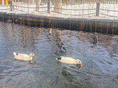 -水磨沟公园