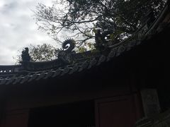-普陀山慧济禅寺