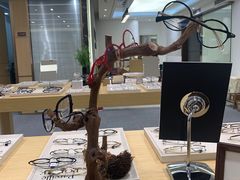 -Eziwish眼镜·蔡司授权店