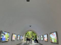 -深圳国际园林花卉博览园