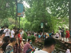 -黄龙溪古镇