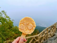 -北京西山国家森林公园