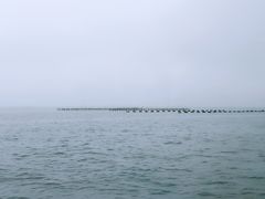-松岛