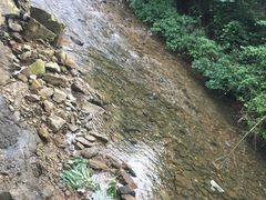 -清泉湾生态旅游度假区