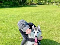 -爱侣宠医·鹦鹉专科·小型哺乳类·异宠专科(灵石路店)