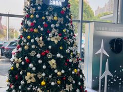 -上海德星奔驰(江杨南路店)