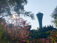 -狐尾山公园