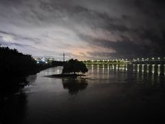 -宝安西湾红树林湿地公园