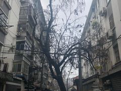 门面-夏远兰早点店