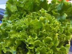 -杨记齐齐哈尔烤肉(总店)