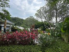 -广东温泉宾馆