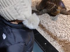 -西安曲江海洋极地公园
