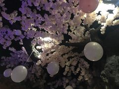 -汤乐汇•足道•SPA生活馆