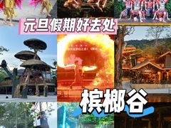 -海南槟榔谷黎苗文化旅游区